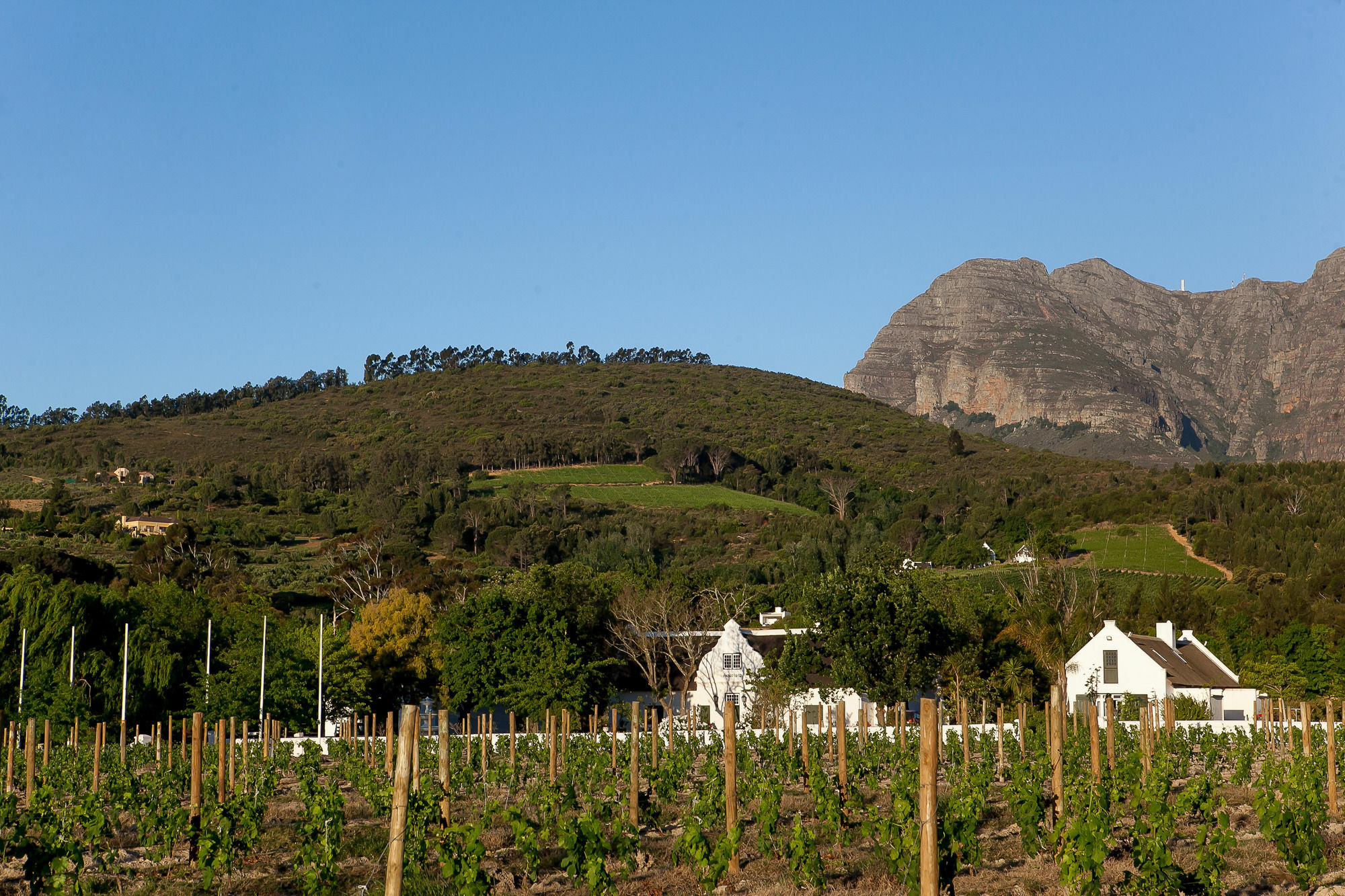 1692 De Kleijne Bos Country House Paarl Eksteriør bilde