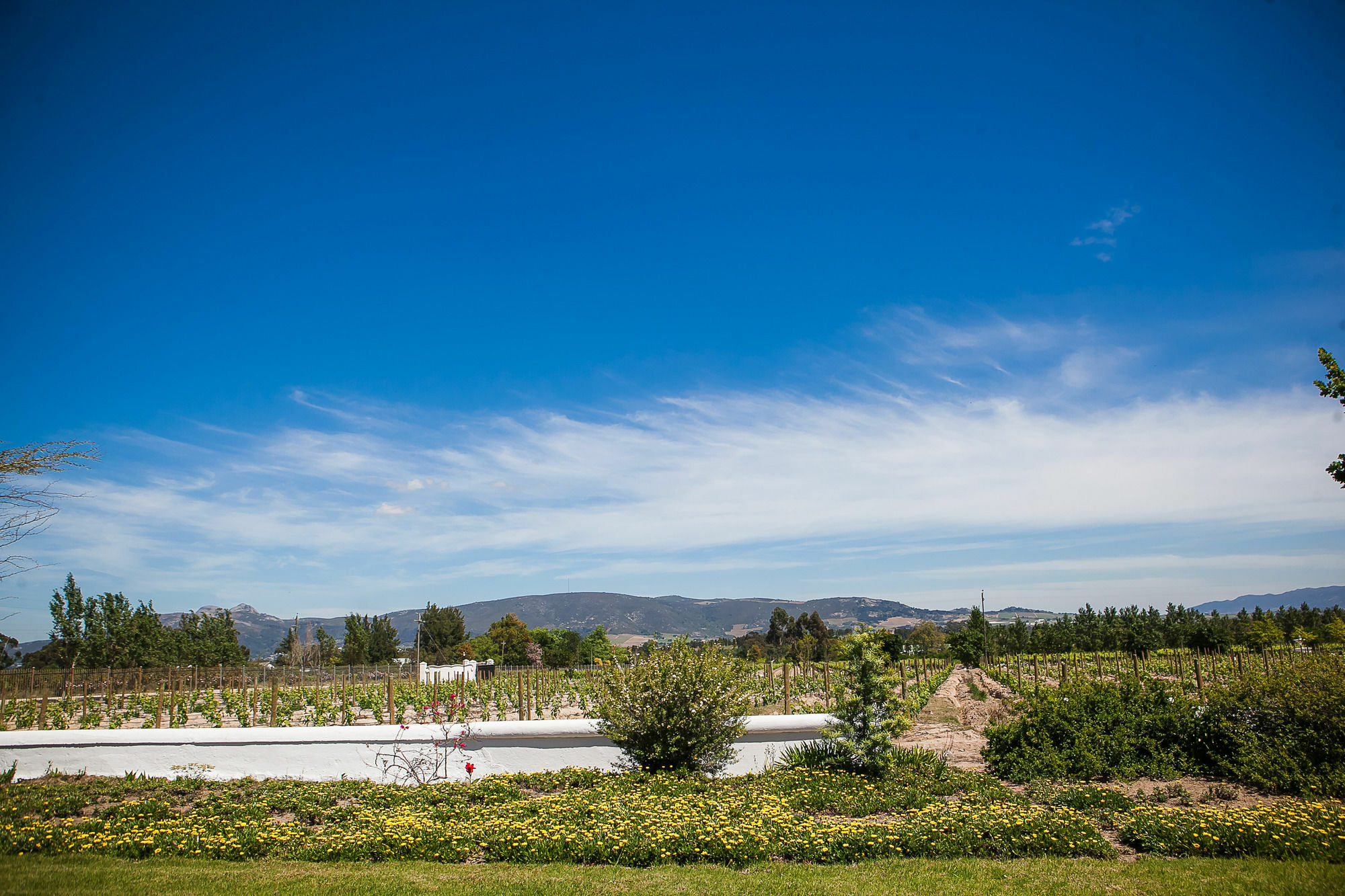1692 De Kleijne Bos Country House Paarl Eksteriør bilde