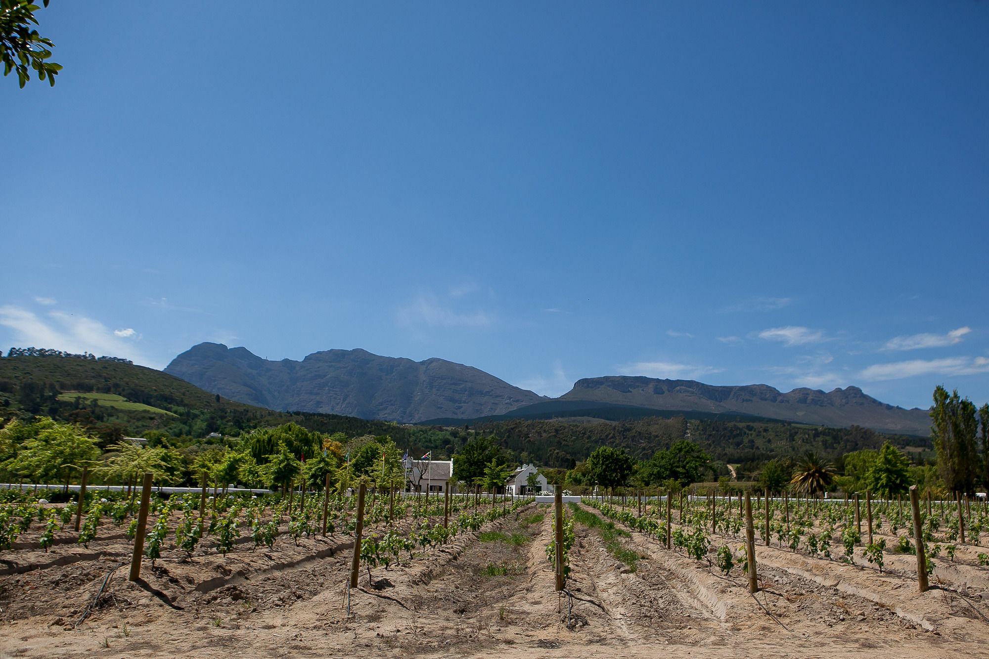 1692 De Kleijne Bos Country House Paarl Eksteriør bilde