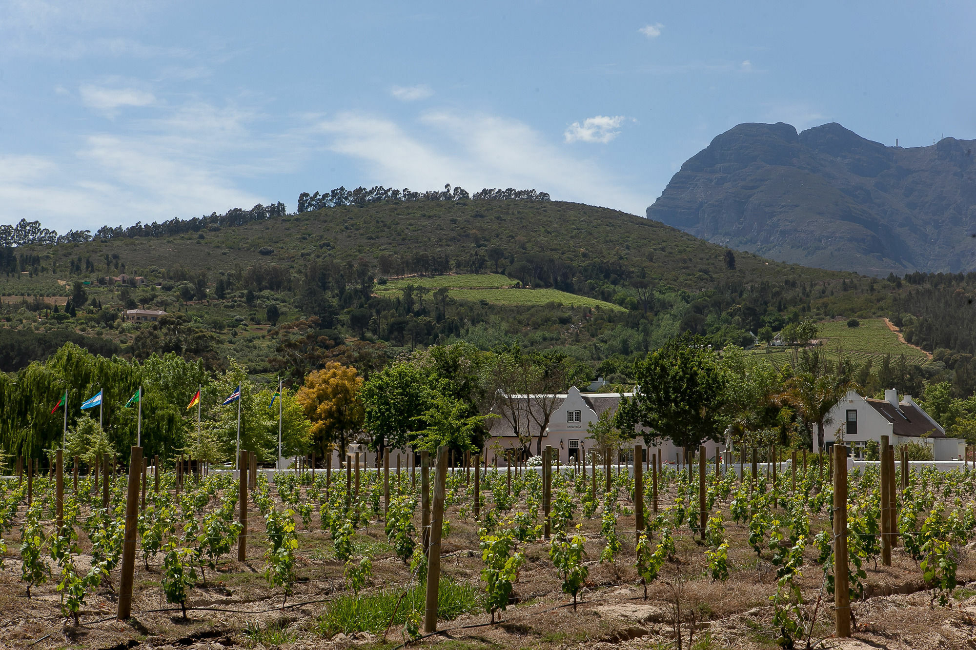 1692 De Kleijne Bos Country House Paarl Eksteriør bilde
