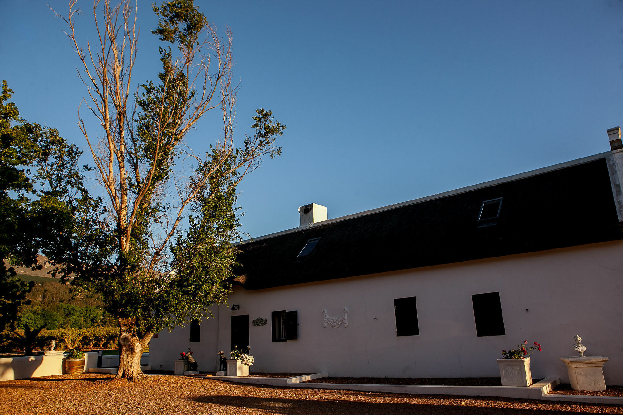 1692 De Kleijne Bos Country House Paarl Eksteriør bilde